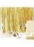 party supplies decorations
